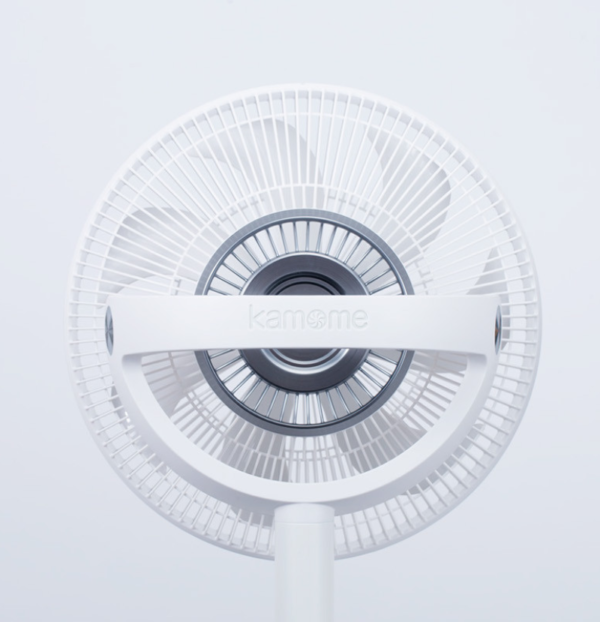 White Electric Fan